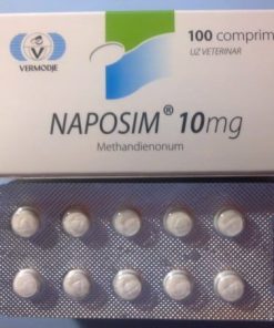 Naposim Methandienone 10 mg