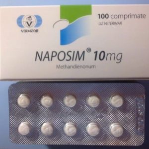 Naposim Methandienone 10 mg